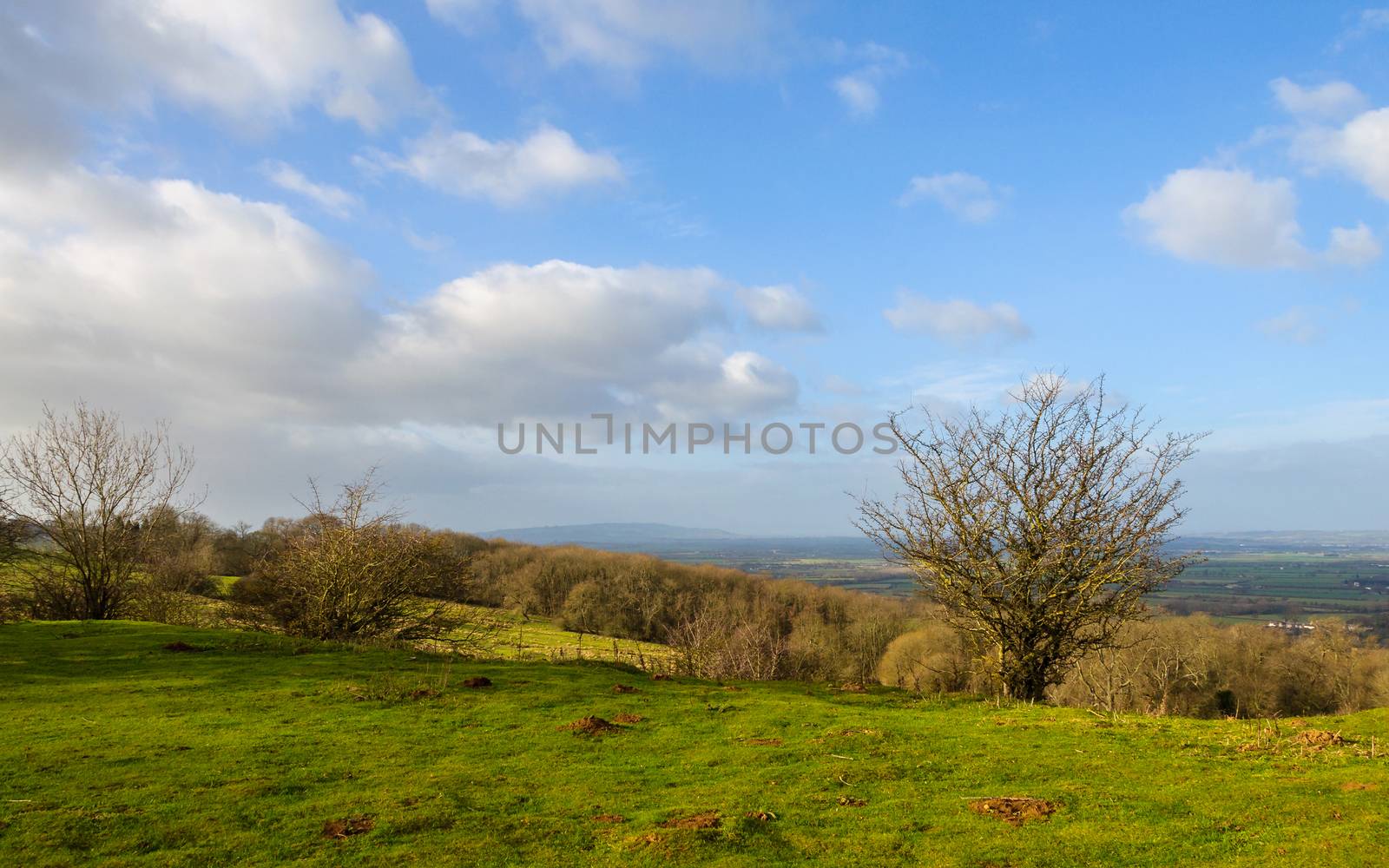 Rural landscape in winter in England, UK