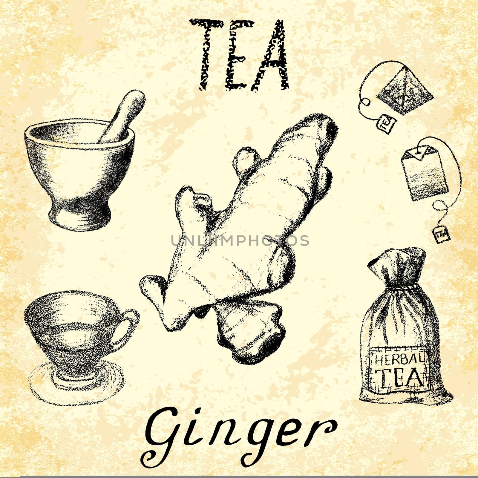 Ginger herbal tea. Set of elements on the basis hand pencil drawings. by Julia_Faranchuk