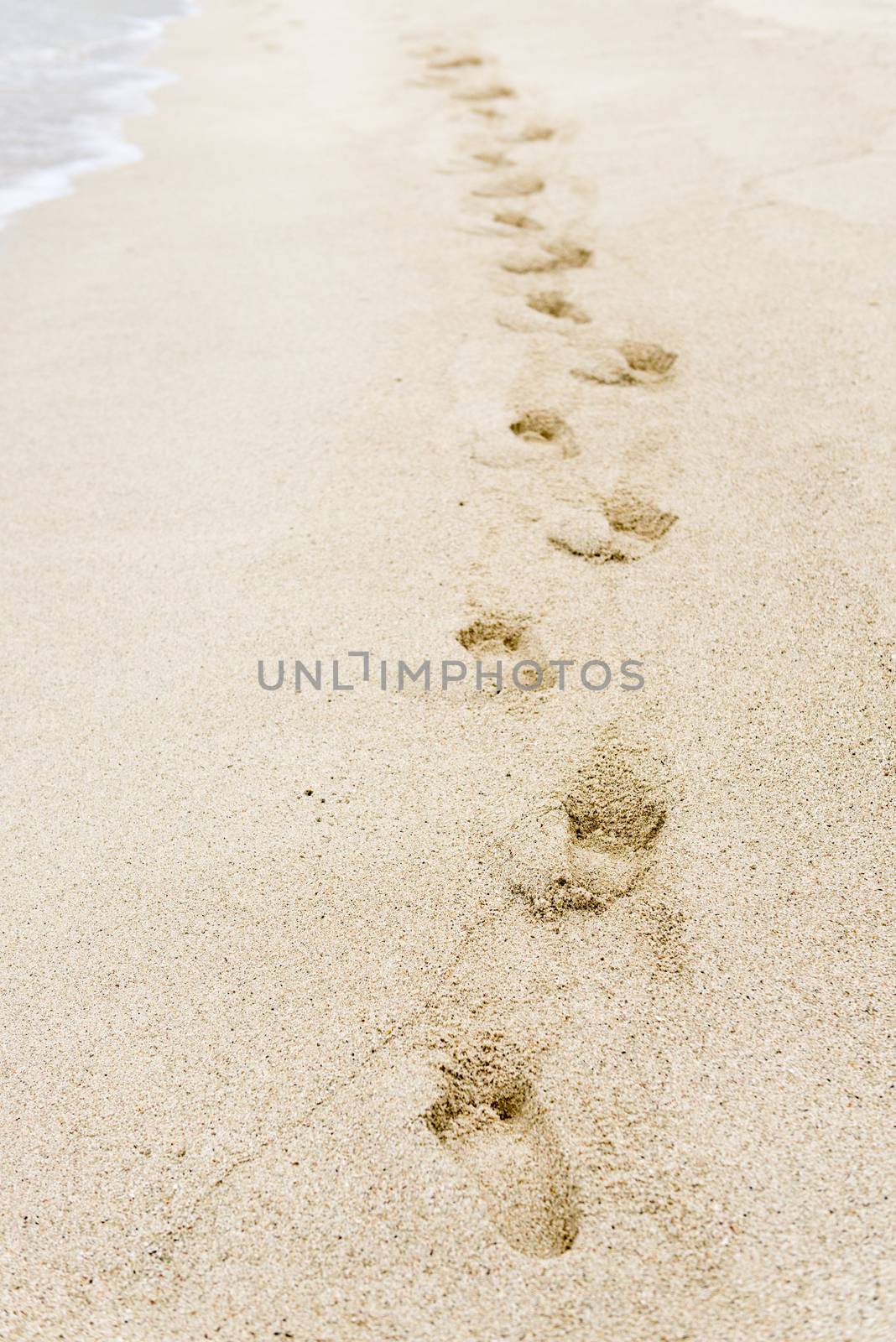sand footprints by sohel.parvez@hotmail.com