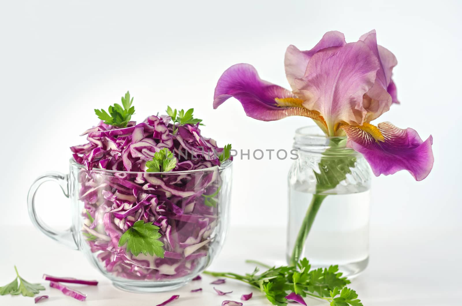 Salad of red cabbage with parsley and flower in the pot. Morning light from the window, and on a white background.