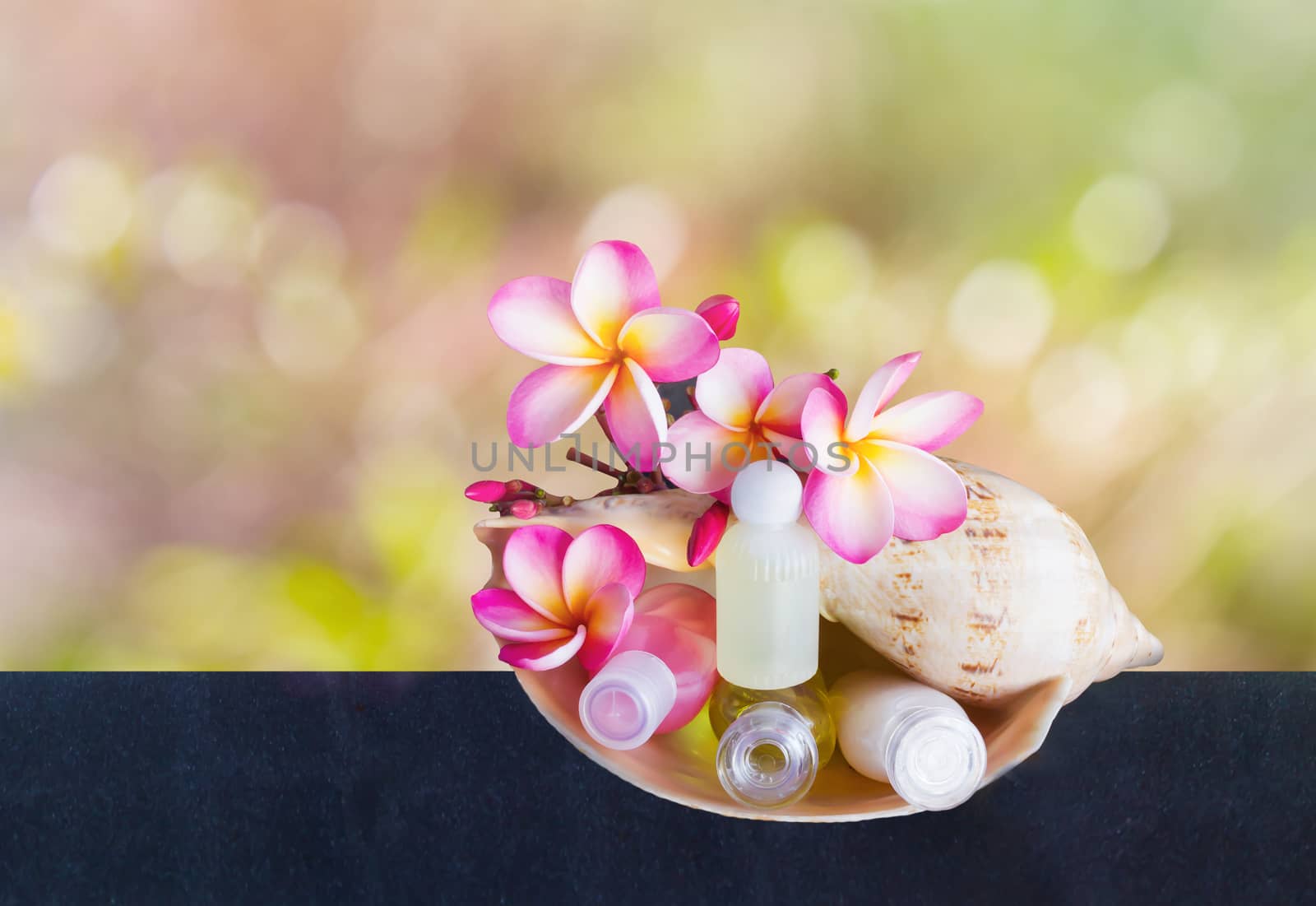 Mini set of bubble bath and shower gel in sea conch shell with pink flower plumeria or frangipani on sweet romantic pastel bokeh
