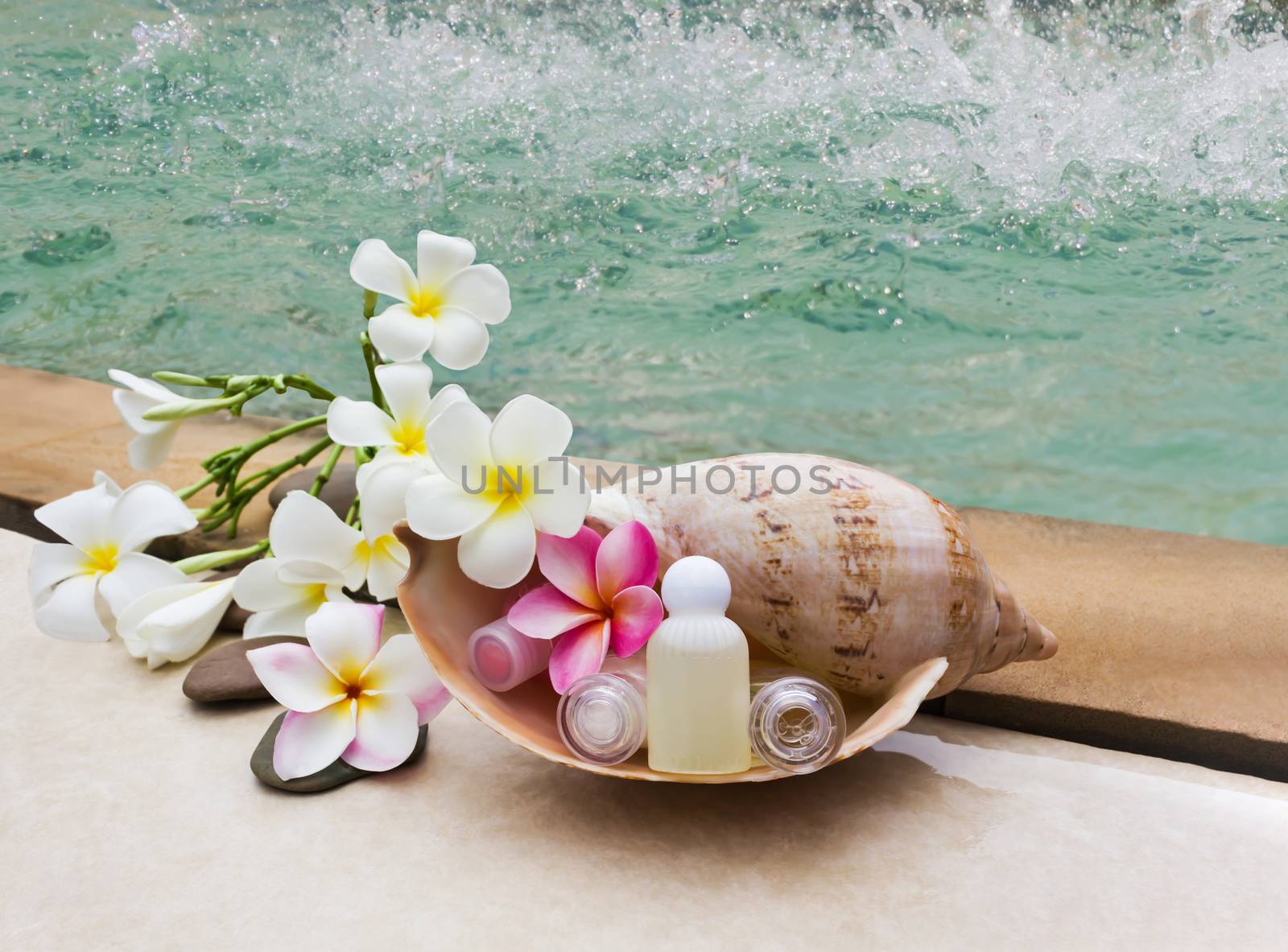 Mini set of bubble bath and shower gel in sea conch shell with beautiful flower plumeria or frangipani beside the pool, shampoo conditioner spa set treatment at swiming pool