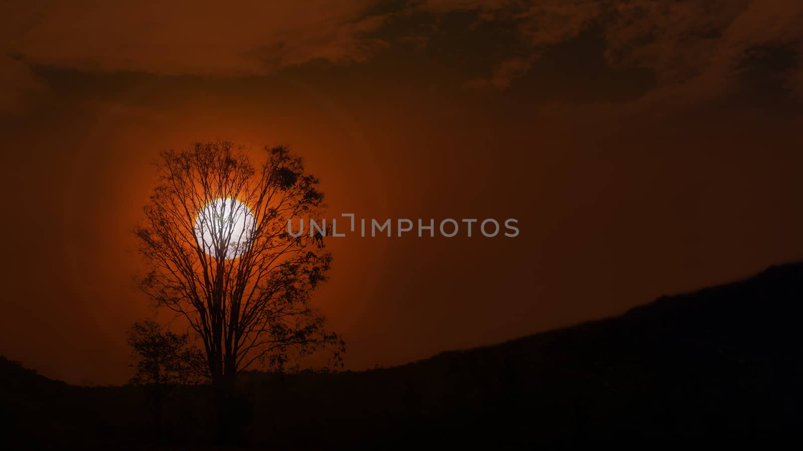 Silhouette black shadow tree shape and hill with big sun, fancy or fantasy sunset in twilight with tree silhouette at the hill