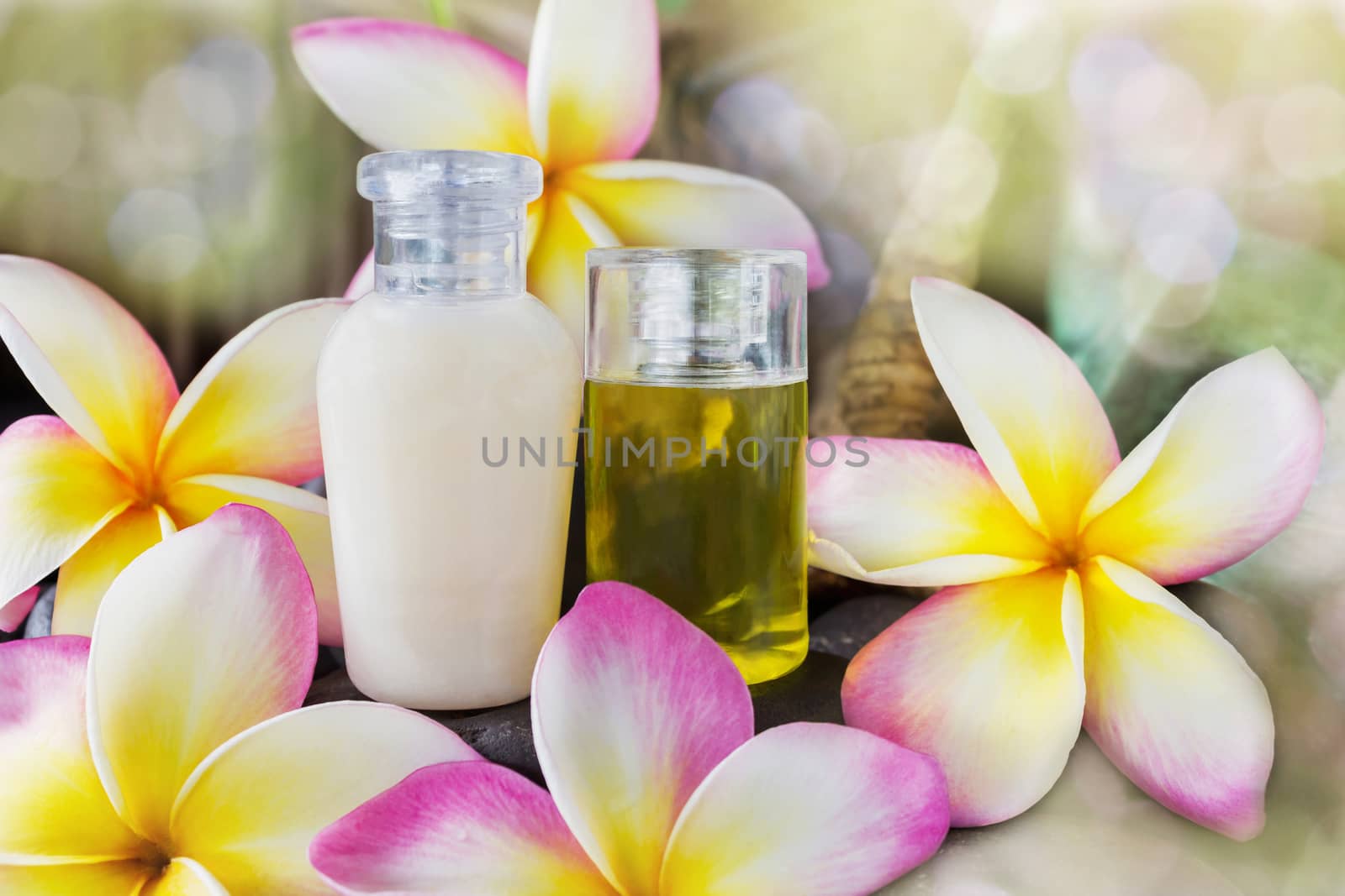 Mini set of bubble bath and shower gel liquid with pink flowers plumeria or frangipani on timber or log wooden background,shampoo and conditioner spa treatment in dreamy sweet bokeh