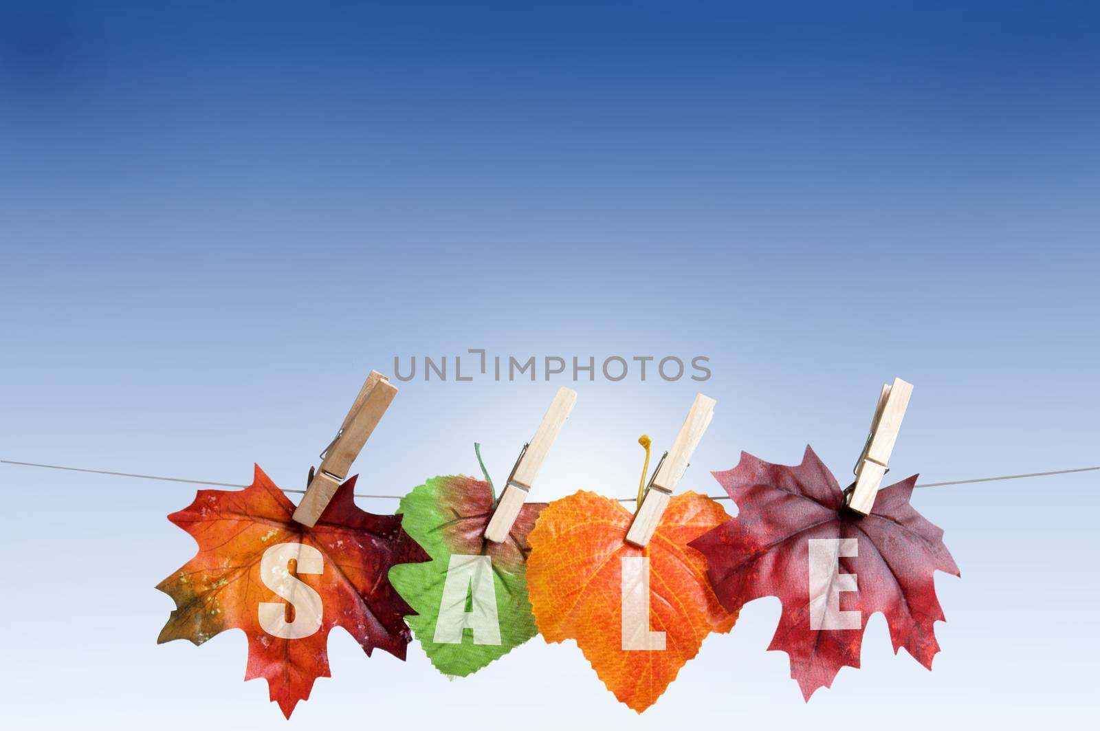 Autumn sales leaves hanging on a clothes line with background space 