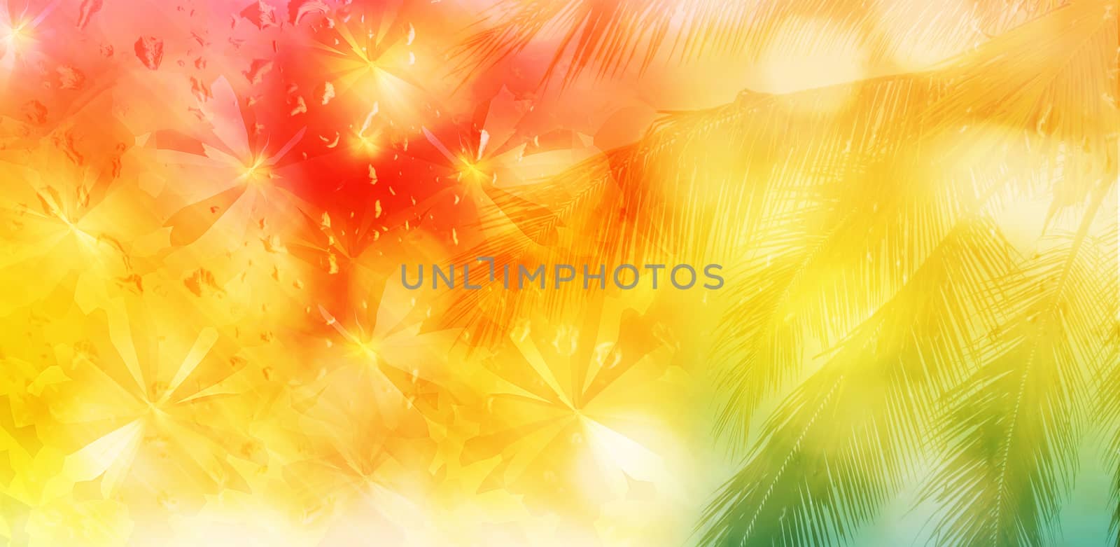 Blurred background of coconut tree and abstract butterfly on water drop pink orange yellow and green for summer background