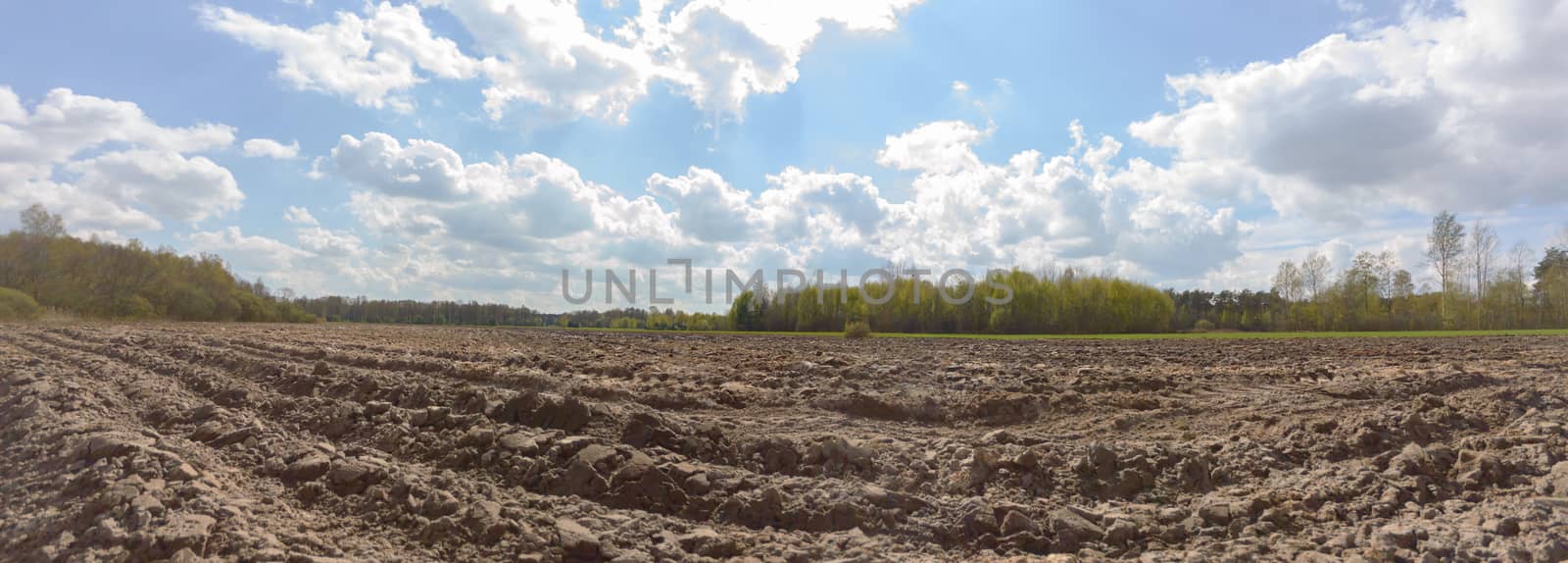 agricultural field, nature and agriculture farming series