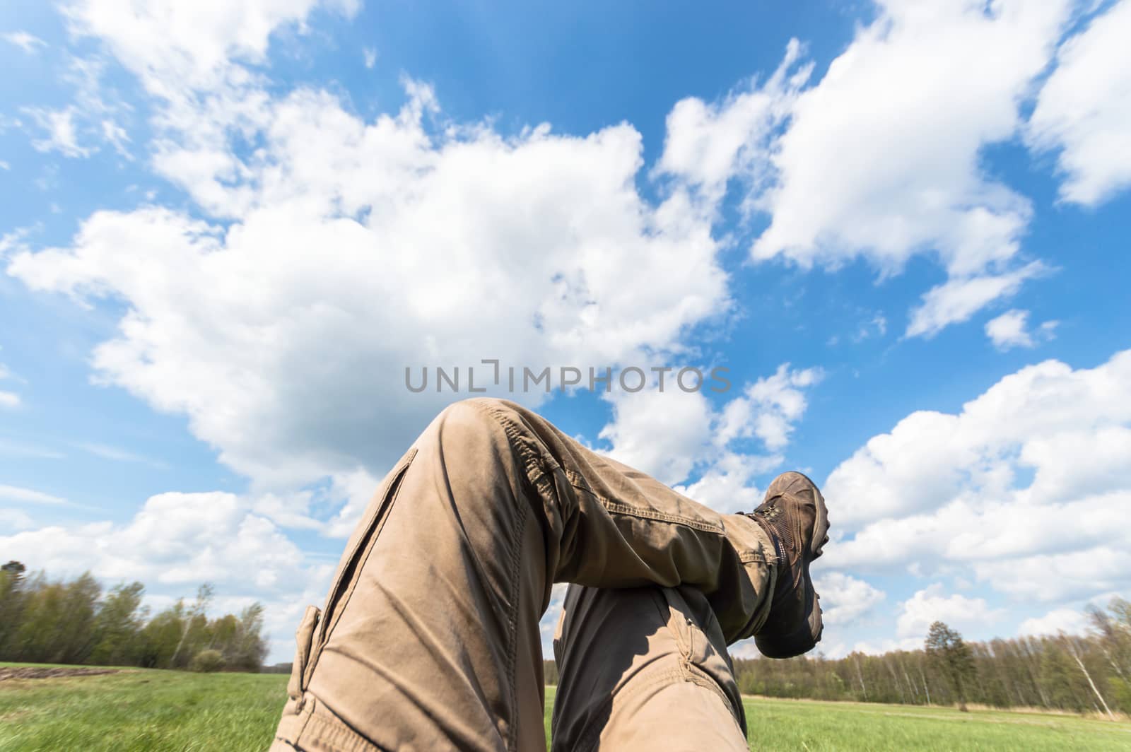 natural green colorful rural meadow, nature series