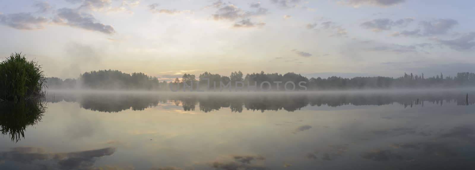 landscape with natural river, nature series