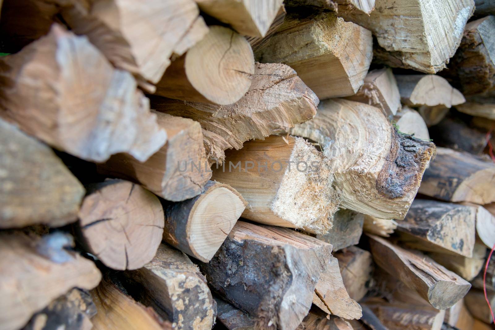 dry chopped firewood logs in a pile by vlaru