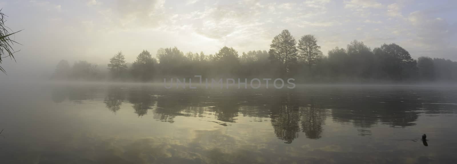 landscape with natural river, nature series