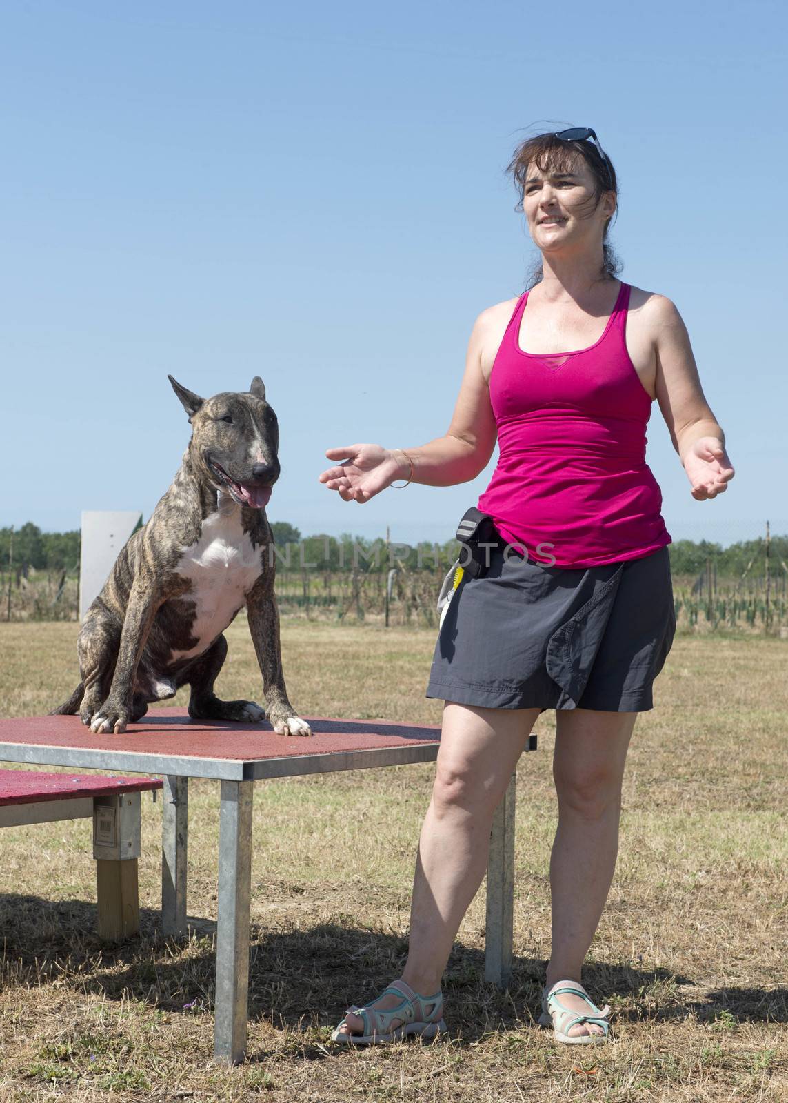 woman and bull terrier by cynoclub