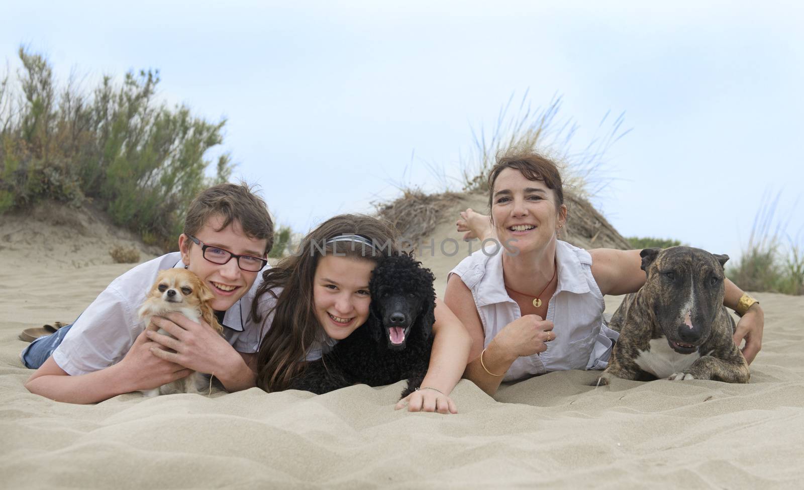 family with three dogs on the beach
