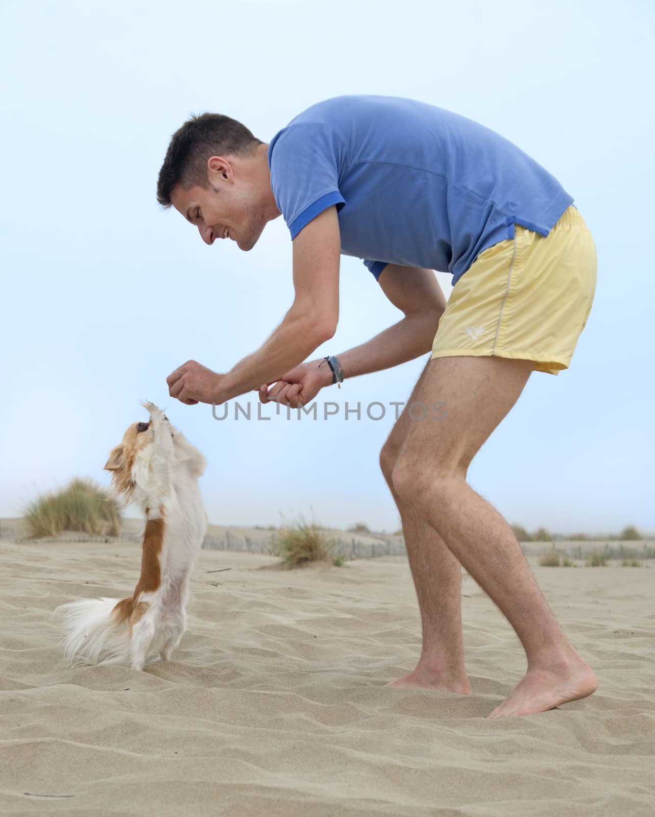 a man playing with chihuahua on the beach