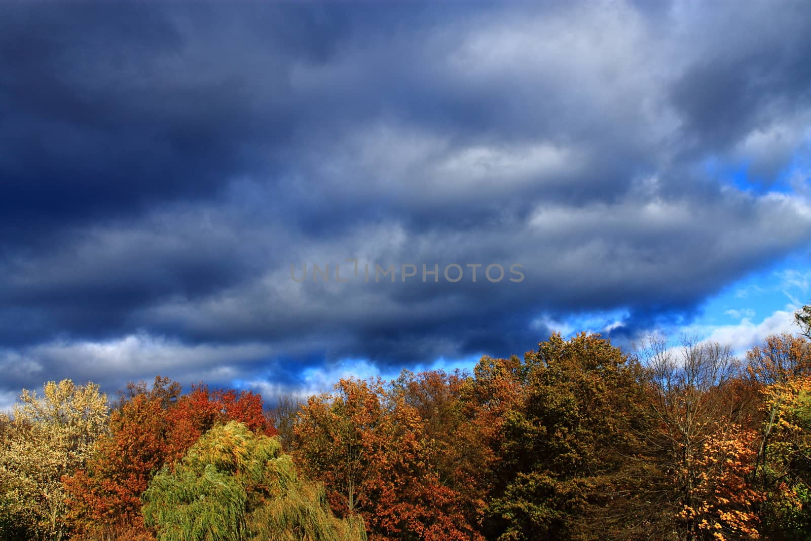 Heavy dark storm clouds over a forest with the colors of autumn.