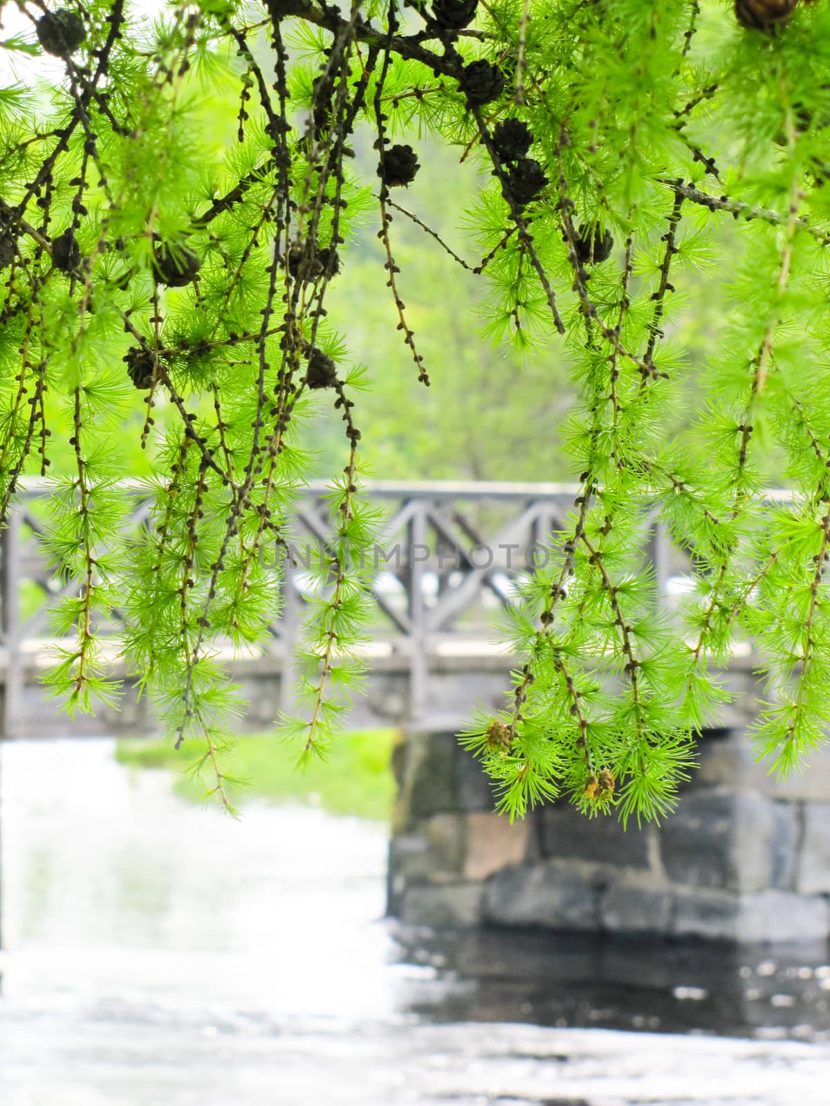 the bridge over the river on the background of nature