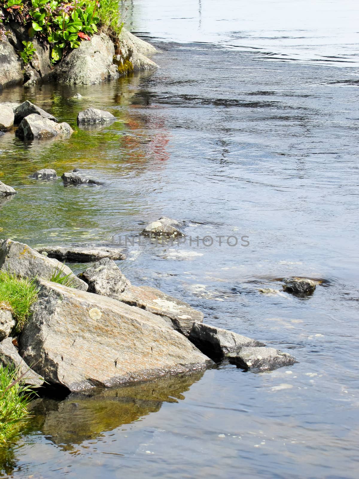 river Bank with stones by rodakm