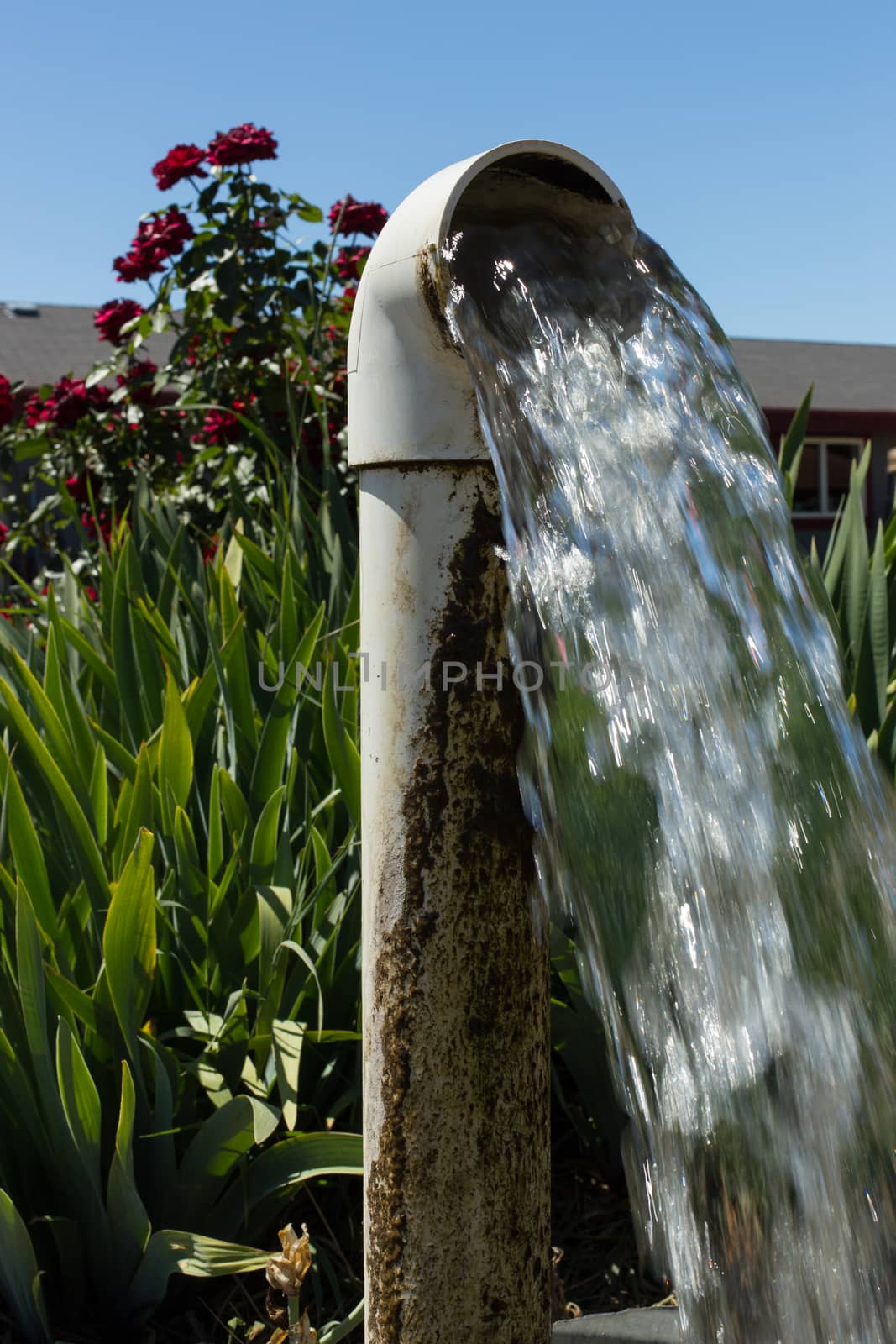 Water flowing from a well pipe
