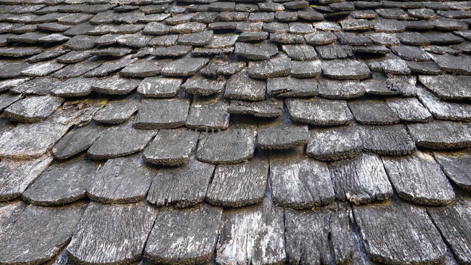 wooden roof tile pattern by polarbearstudio