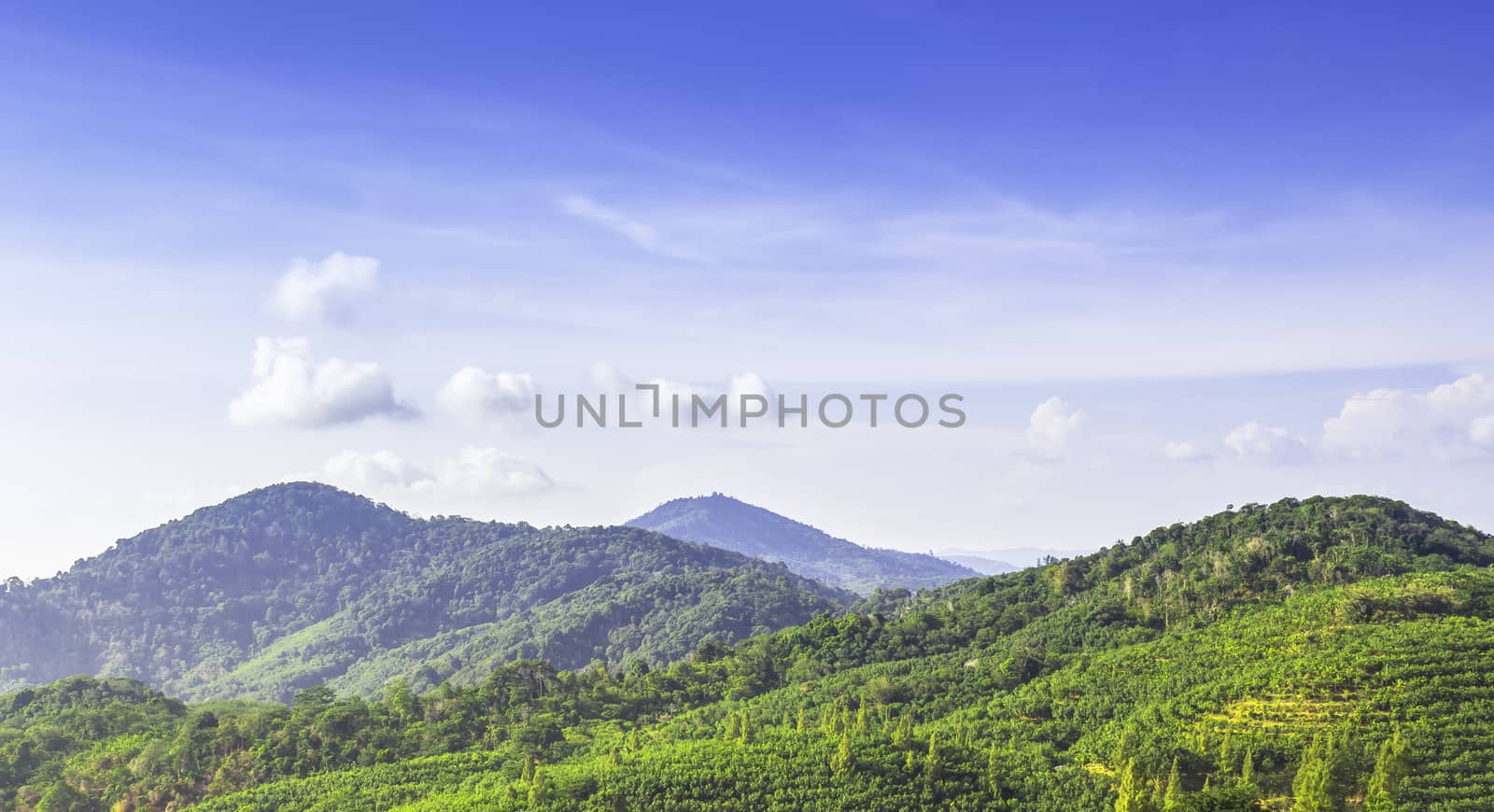 Landscape of green mountant and blue sky