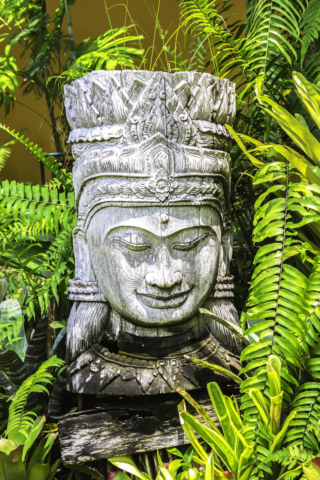 Wooden carving decorated with green plant in the garden