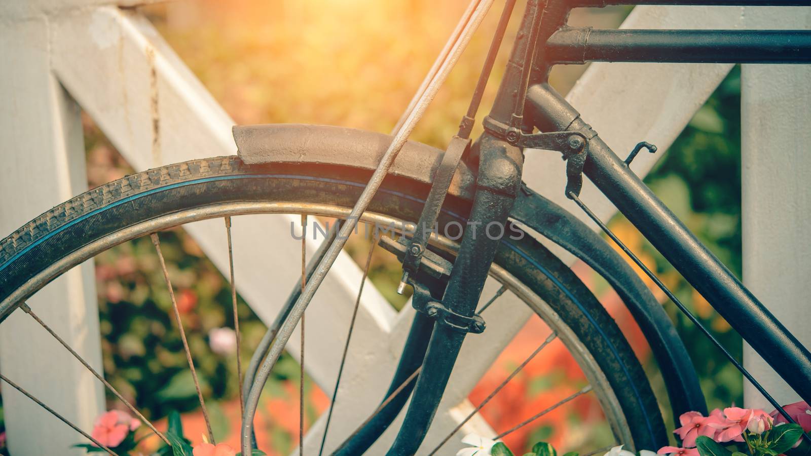 Vintage bicycle summer on the garden background.