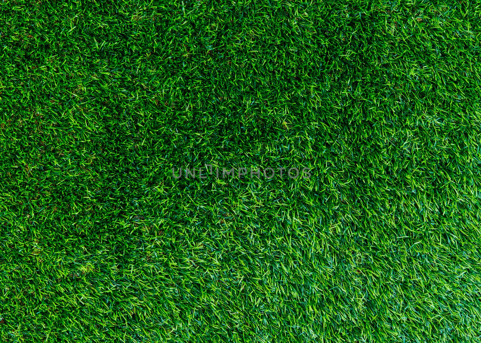 Green grass natural background texture.fresh green grass.beautiful background