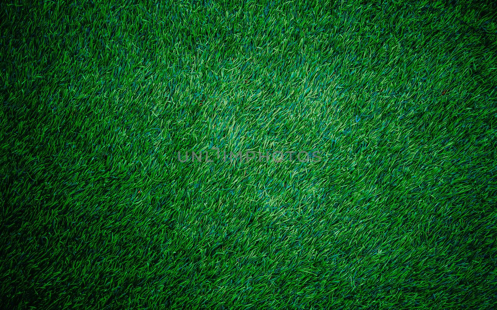 Green grass natural background texture.fresh green grass.beautif by toodlingstudio