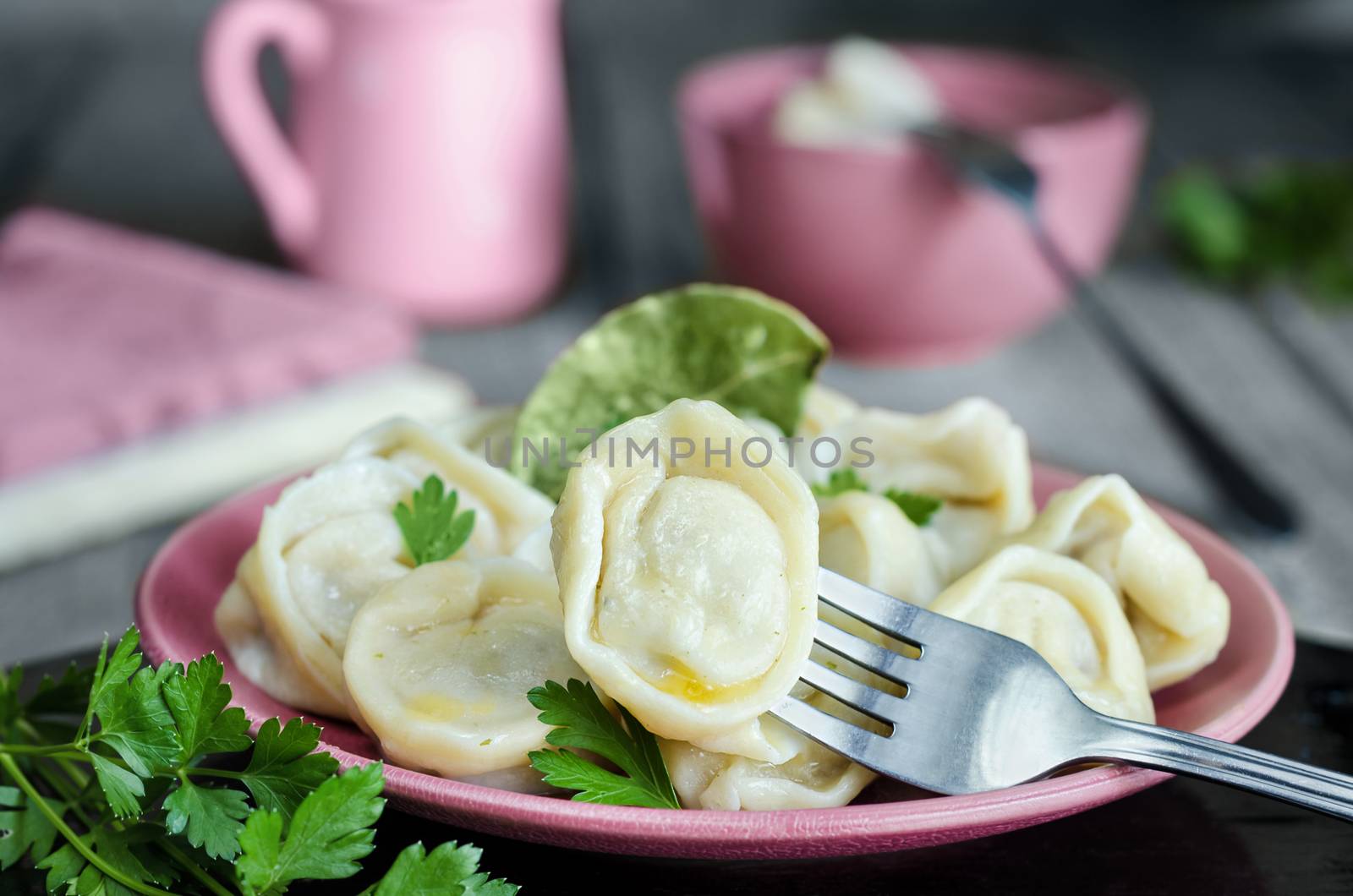 Dumplings on the plate and fork by Gaina