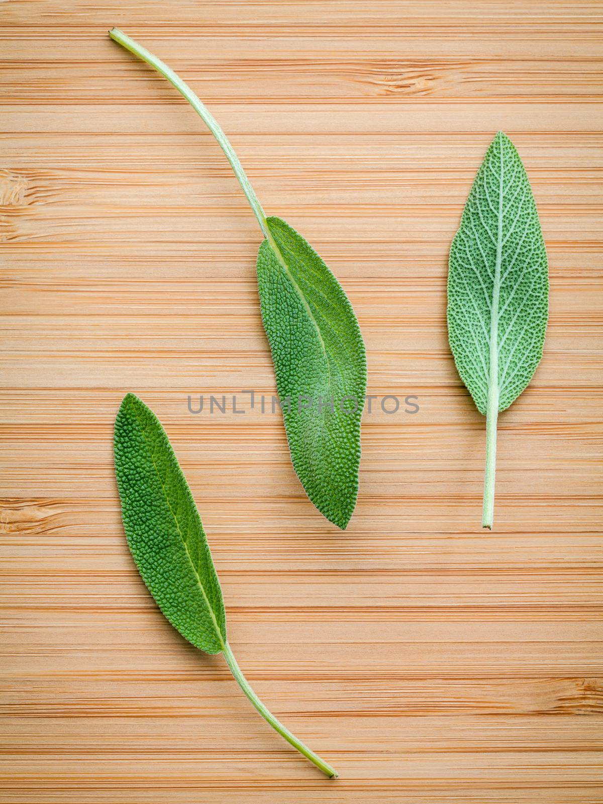 Closeup fresh sage leaves  on wooden background. Alternative med by kerdkanno