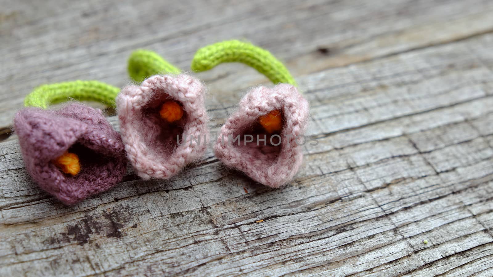 Knitted tulip flower on old wooden background in vintage color, knit is hobby leisure for who like make handmade from yarn