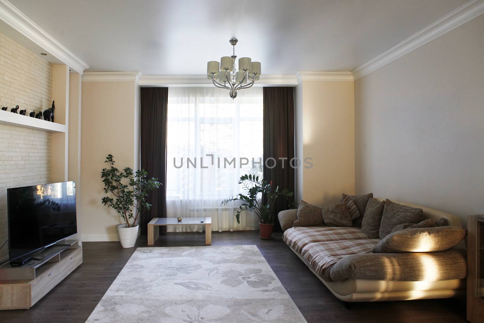 modern living room with wood floor