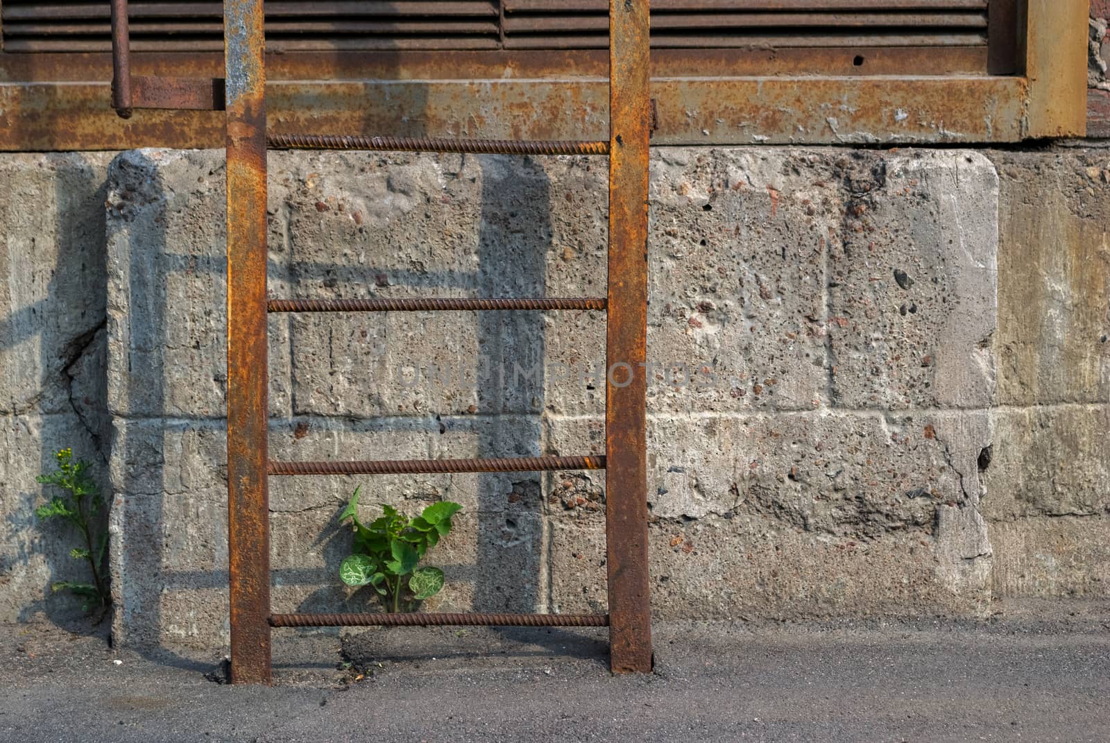 A rusty iron ladder on the background of the gray wall and shoots of green break through the asphalt.