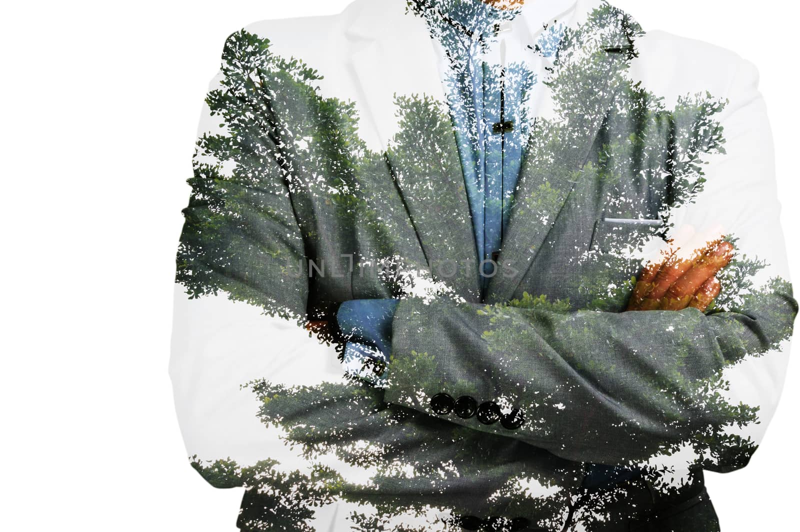 Double Exposure of Businessman with Big Tree and Leaf as Busines by thampapon
