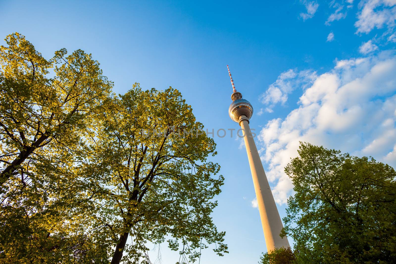 Fernsehturm (TV Tower), Berlin Alexanderplatz by edan