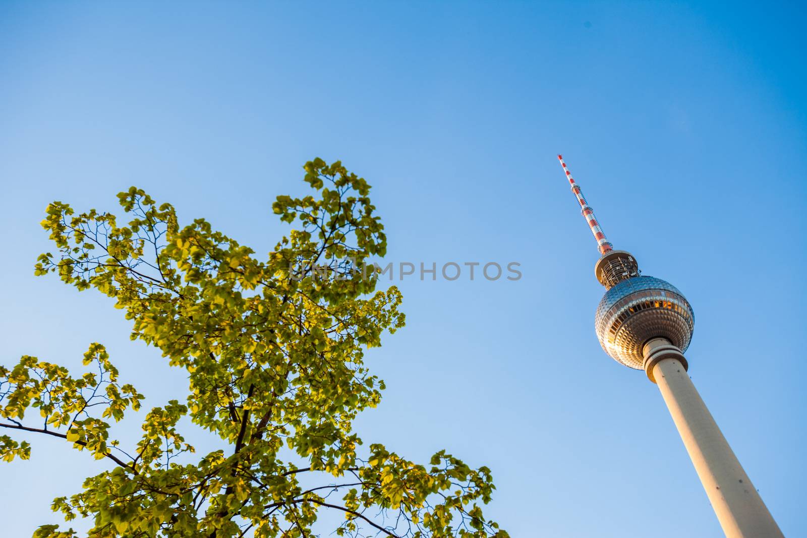 Fernsehturm (TV Tower), Berlin Alexanderplatz by edan