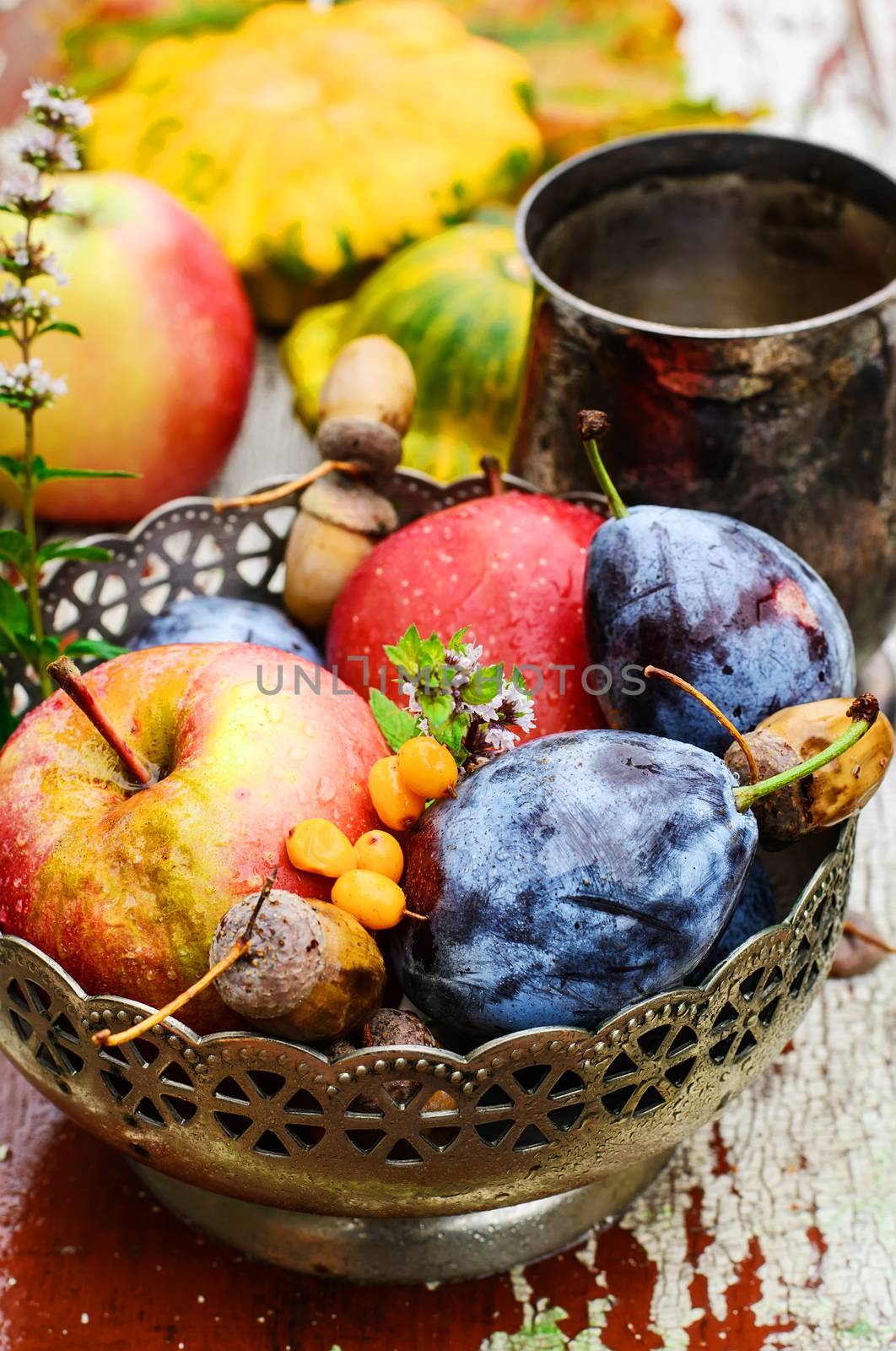 Stylish metal bowl with apples,plums and acorns in the autumn still life