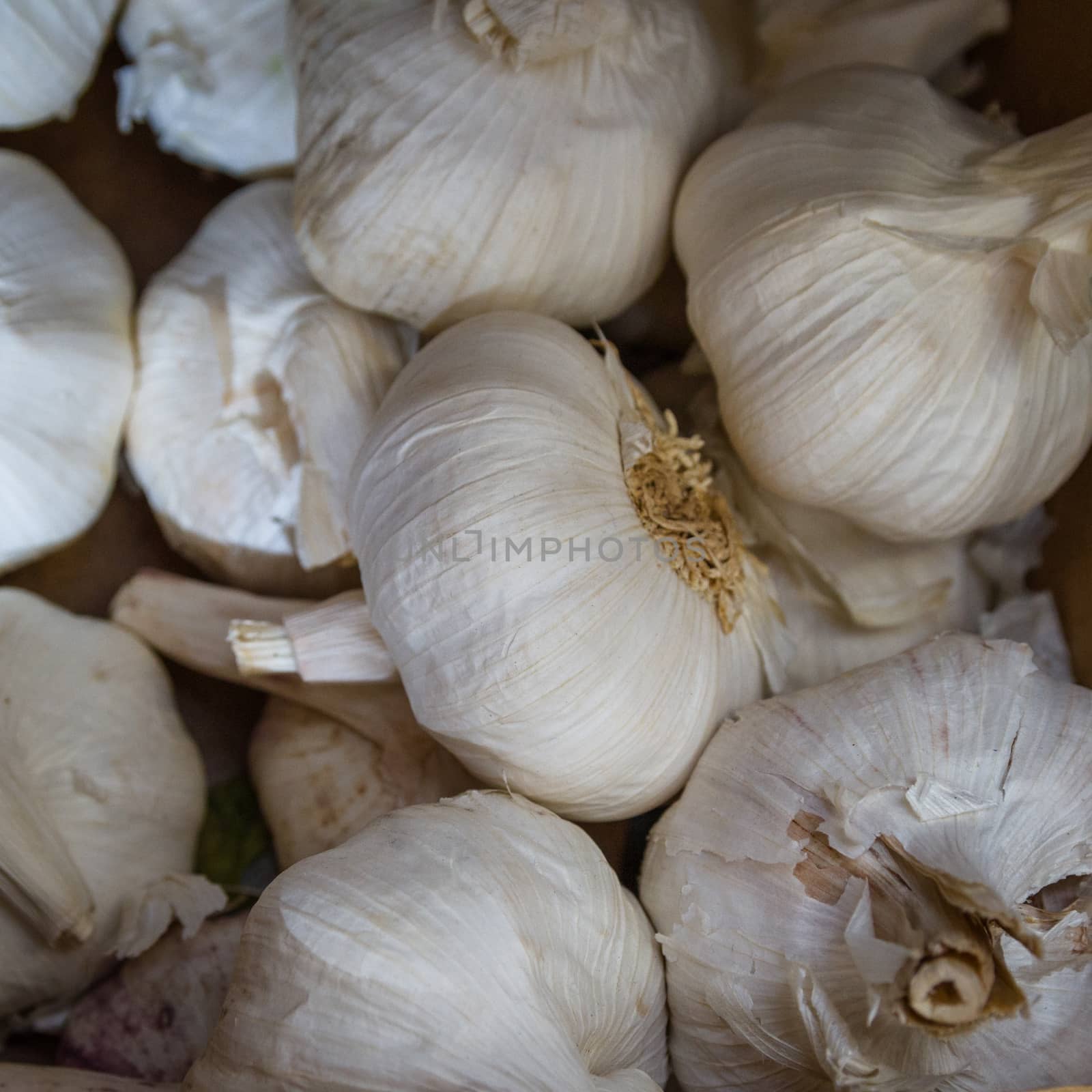 Garlic is a bulbous plant grown, Its first use is to seasoning