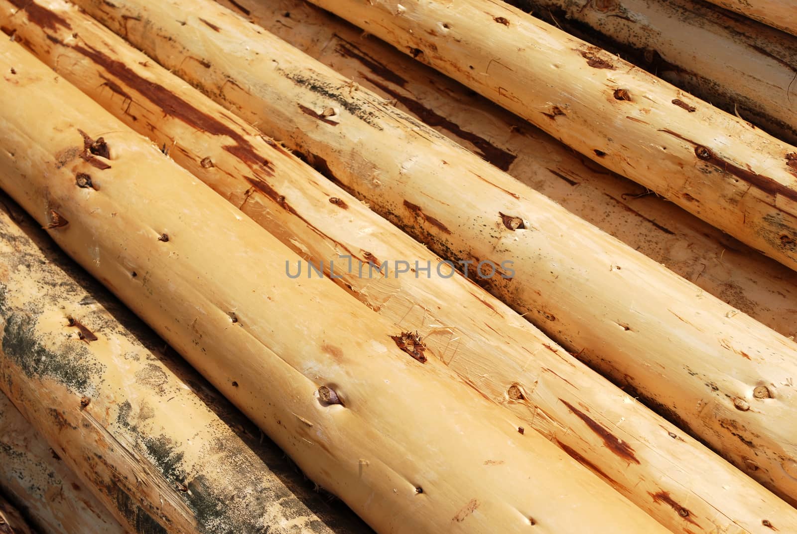 Wood Lumber Heap of Pine Tree Uncorked Logs