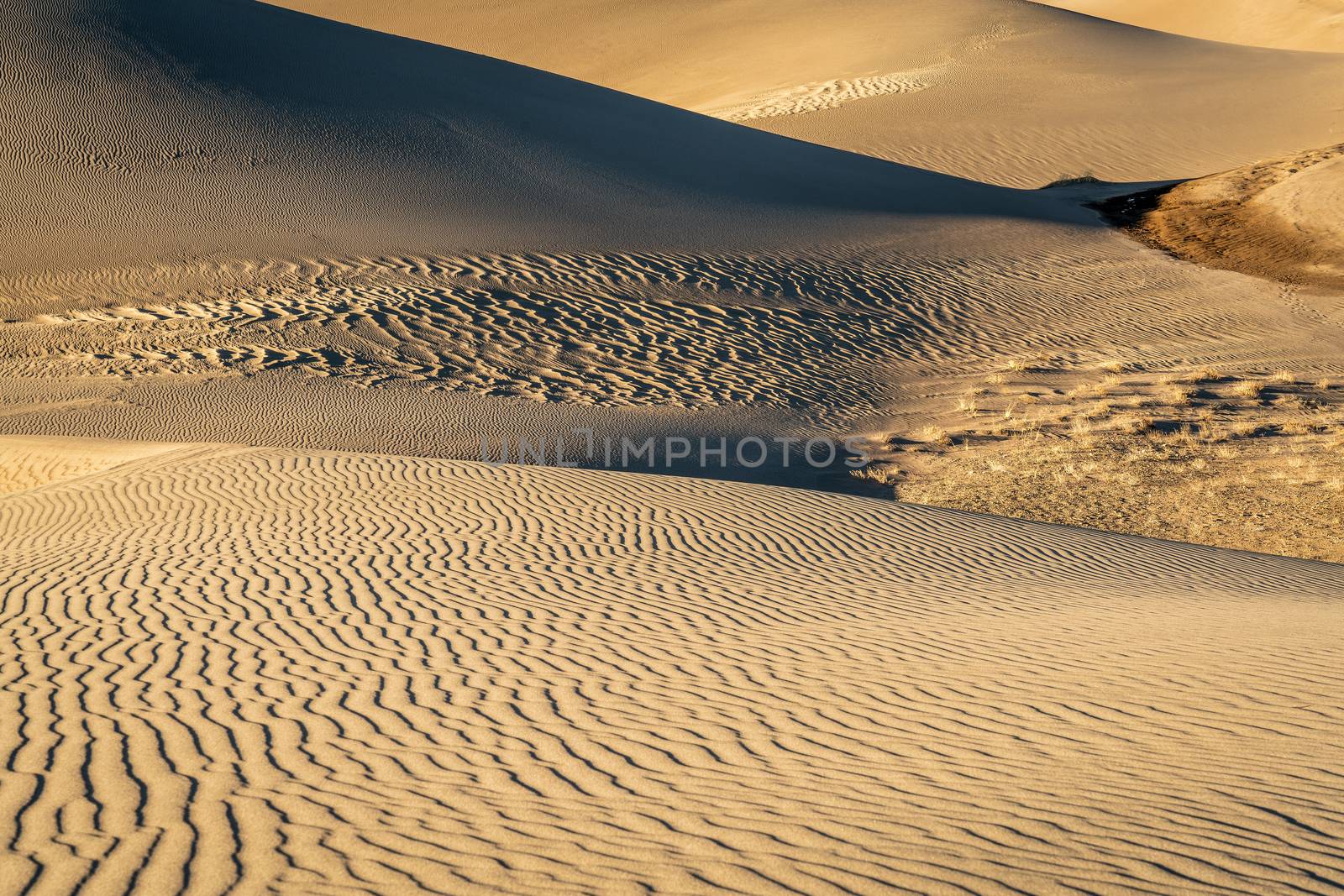 sand dunes patterns and texture at sunset - Great Sand Dunes National Park in Colorado