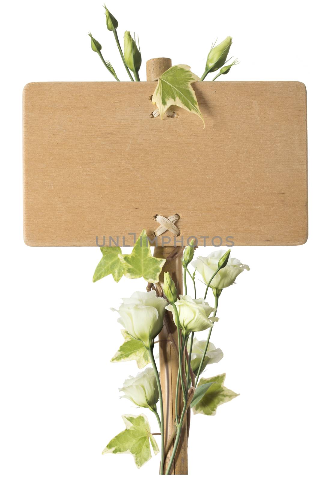 Wooden sign over white background with roses flowers sourrounding the post. Concept for advertising and communication purposes