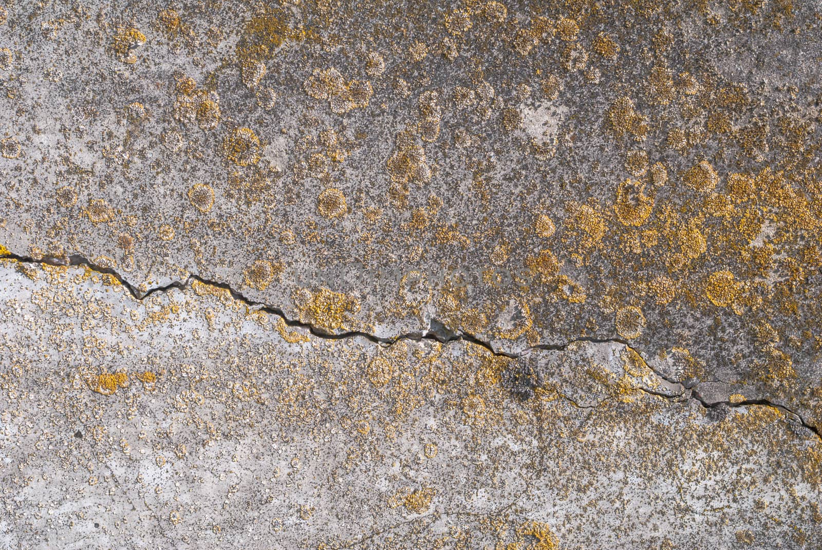 fragment of a concrete wall, which has undergone deformation due to prolonged exposure to various climatic conditions