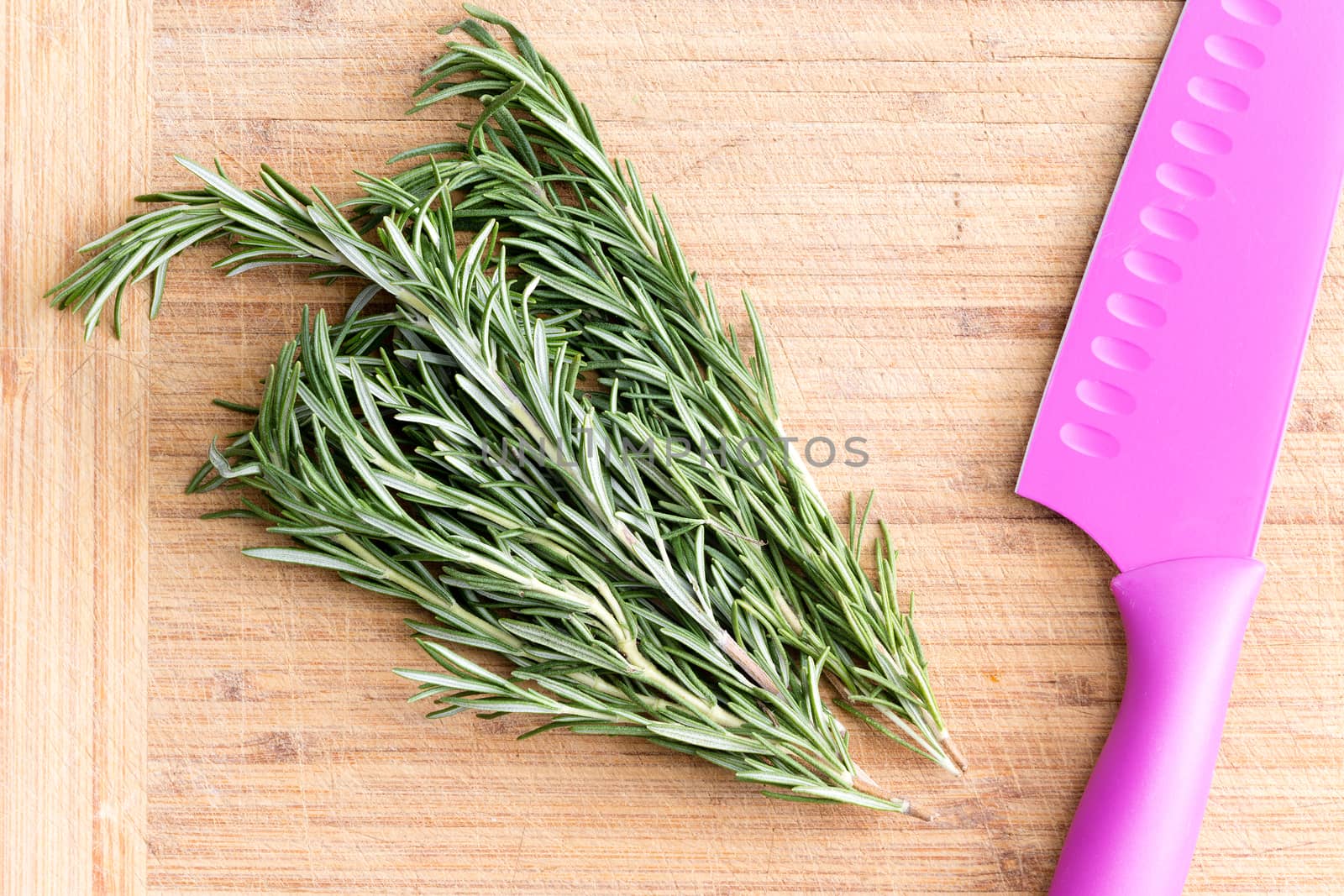 Bunch of aromatic fresh rosemary on a wooden chopping board with a colorful pink plastic knife ready to be chopped as an ingredient in savory cooking, overhead view