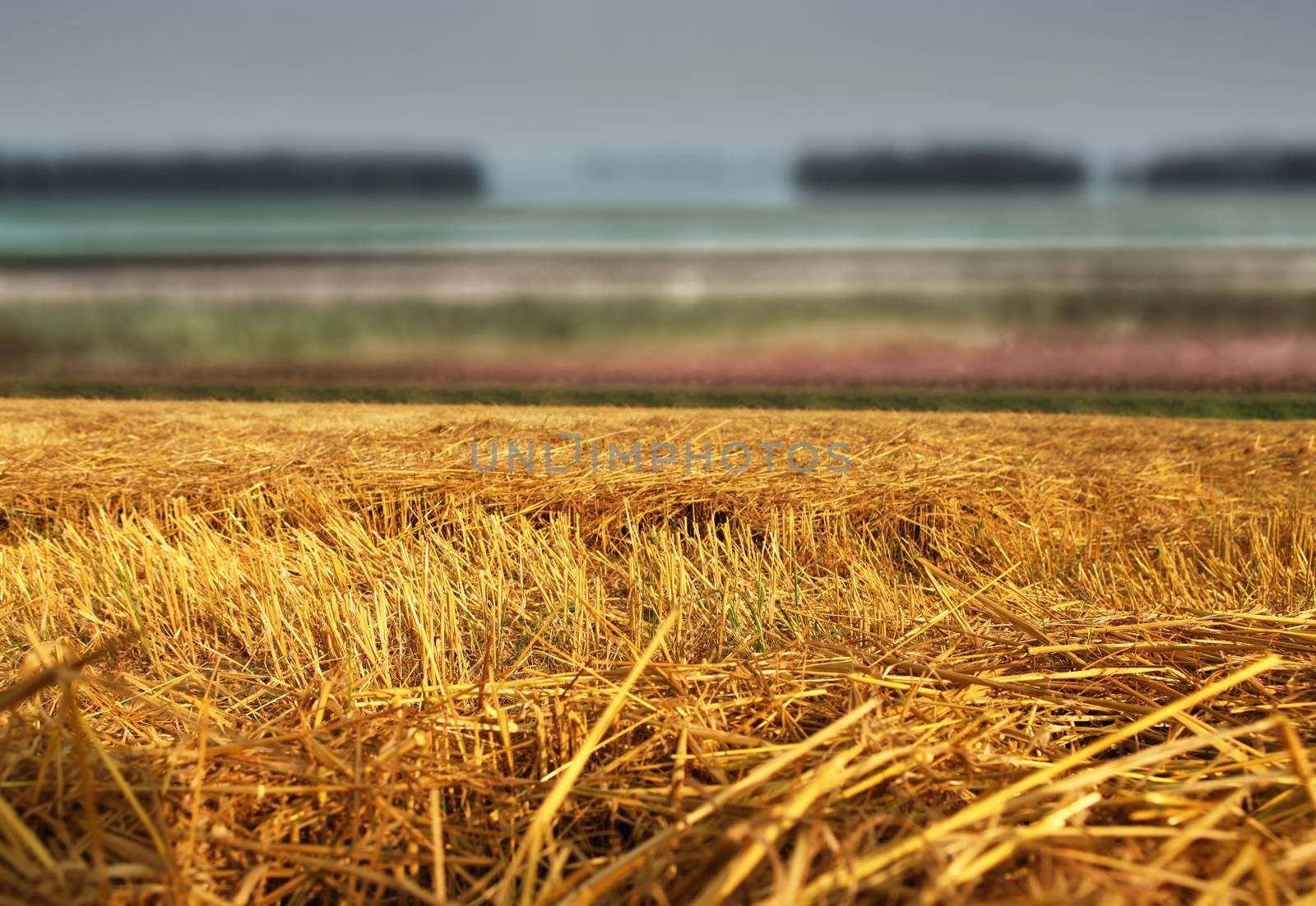 hay straw stack on field by ssuaphoto