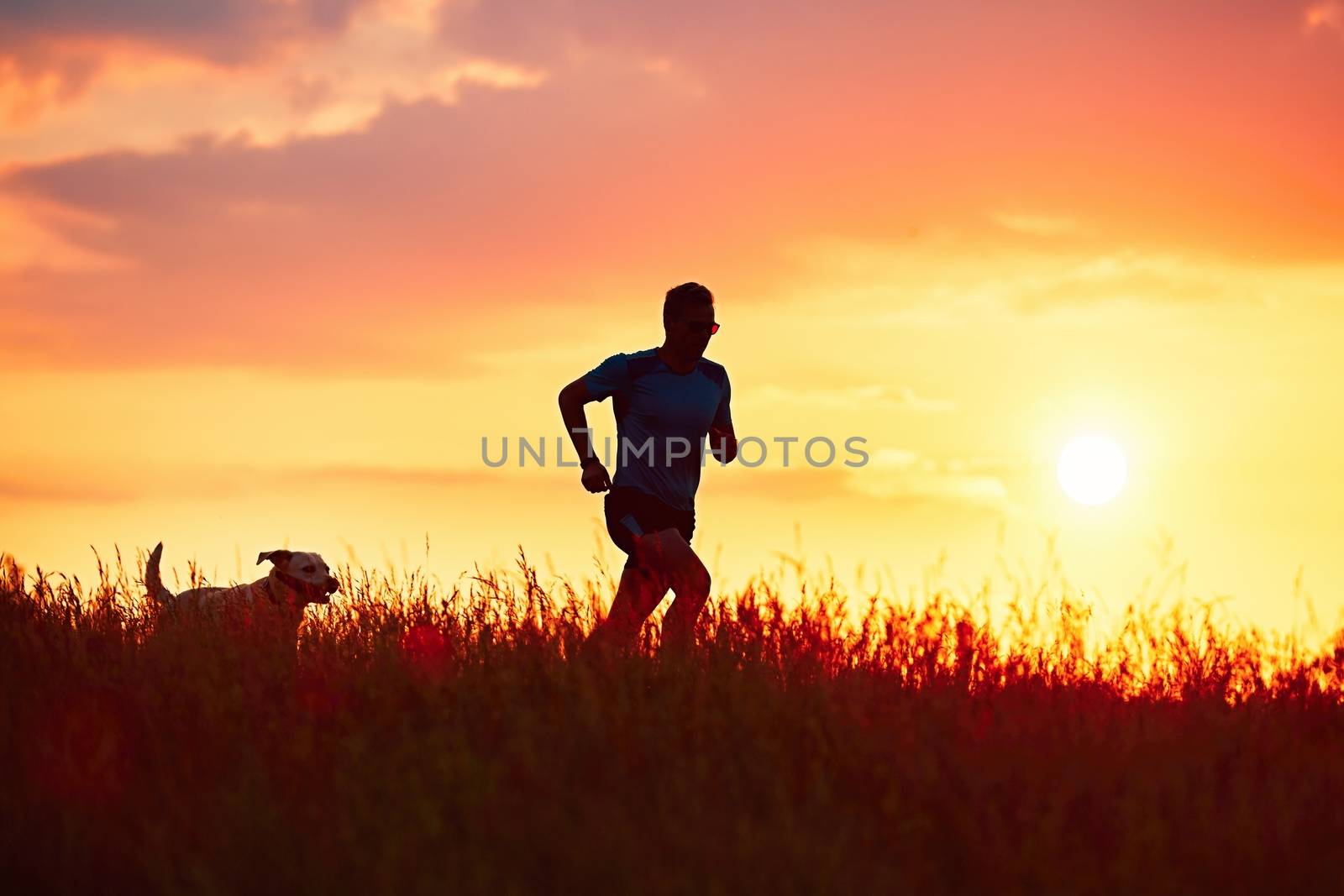 Silhouettes of runner and dog. Outdoor cross-country running. Athletic young man with dog are running in the nature during golden sunset.