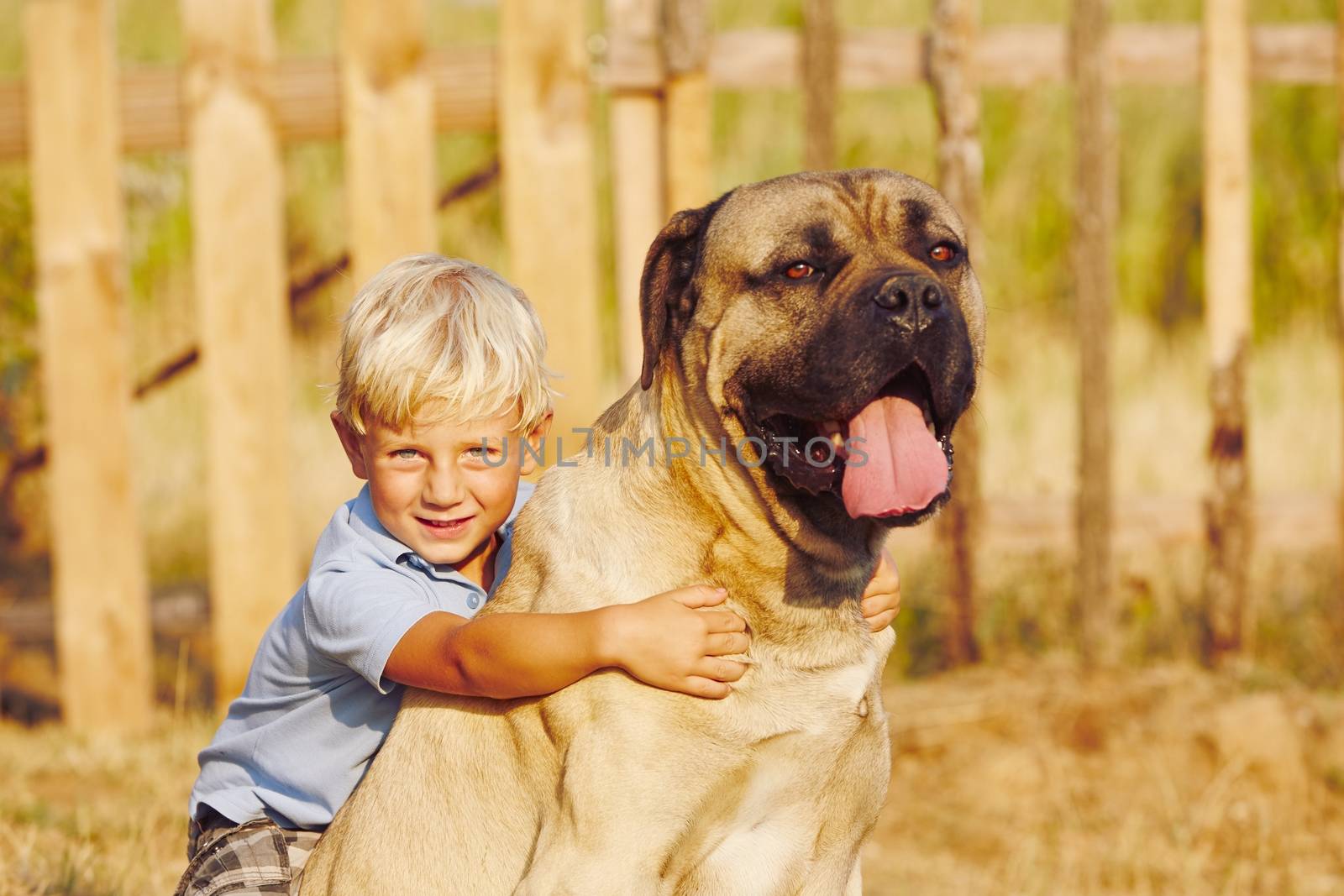 Little boy is playing with his large dog.