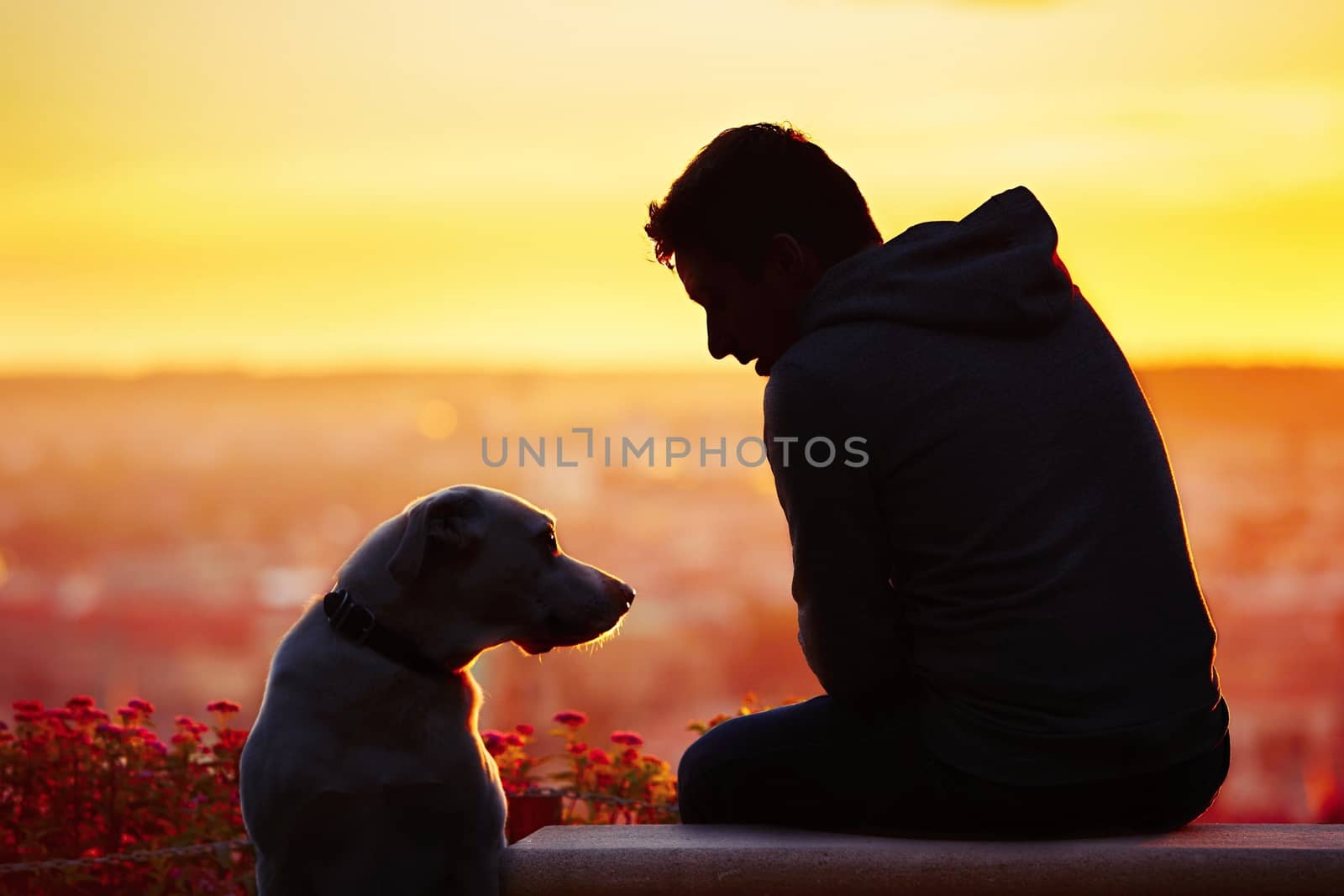 Young man with his dog at the sunrise.