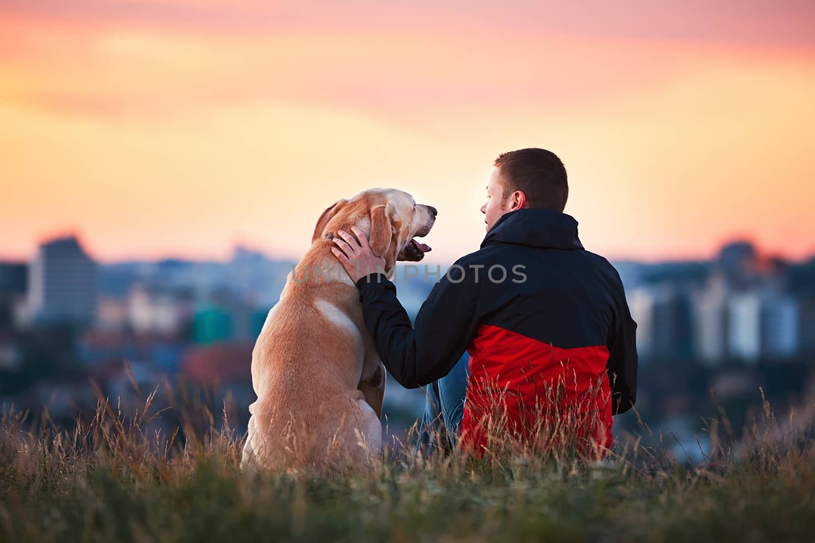 Enjoying sun. Man is caressing yellow labrador retriever. Young man sitting on the hill with his dog. Amazing sunrise in the city. Prague in Czech Republic.