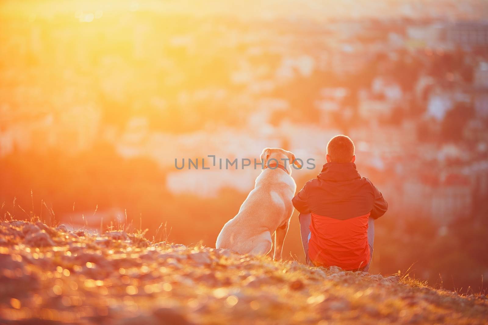 Enjoying sun. Pensive young man sitting on the hill with his dog (yellow labrador retriever). Amazing sunrise in the city. Prague in Czech Republic.