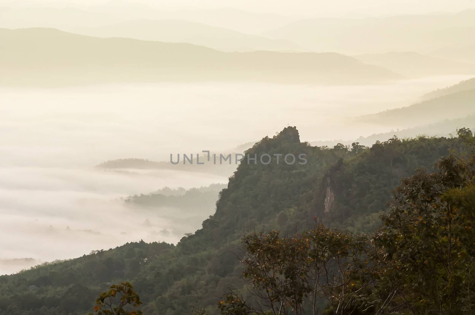 Beautiful morning with fog between hills at Doi Pha Chu in Si Nan National Park , High mountain in Nan province, Thailand